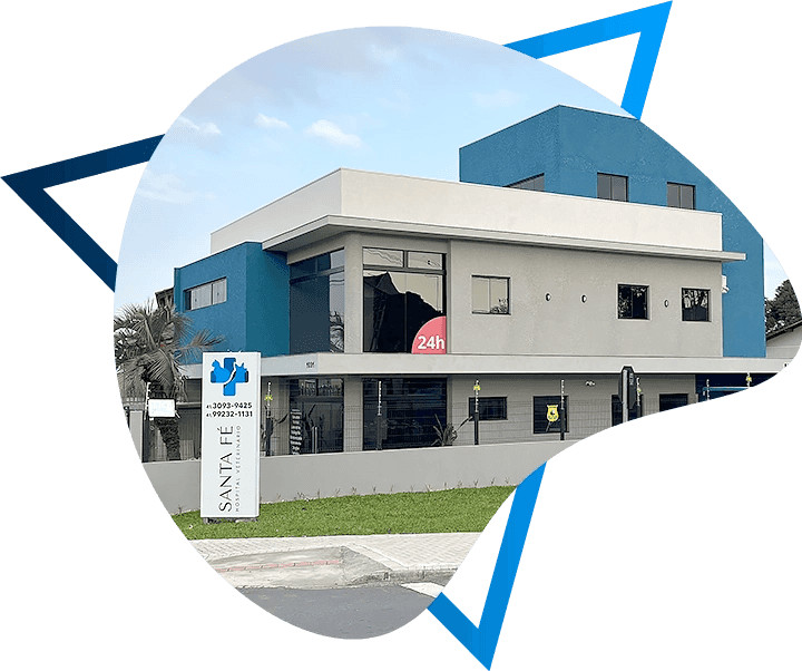 Santa Fé Hospital Veterinário | Curitiba